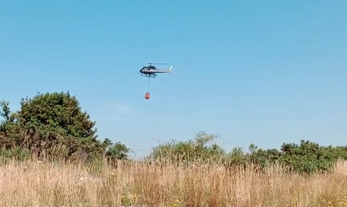 Alerta Roja para la comuna de Dalcahue por incendio forestal "El Mechero"