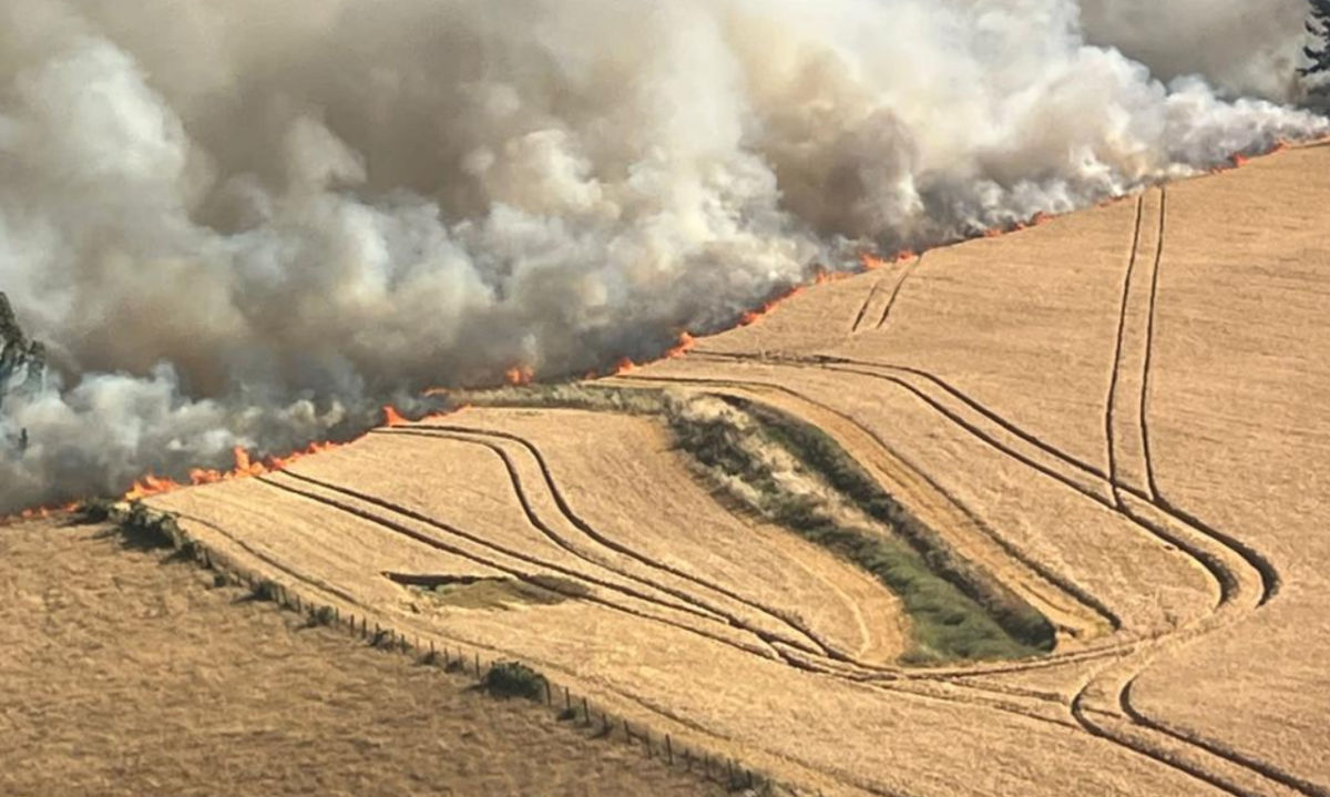 SAGO A.G. colabora con Incendios Rurales en la Provincia de Osorno