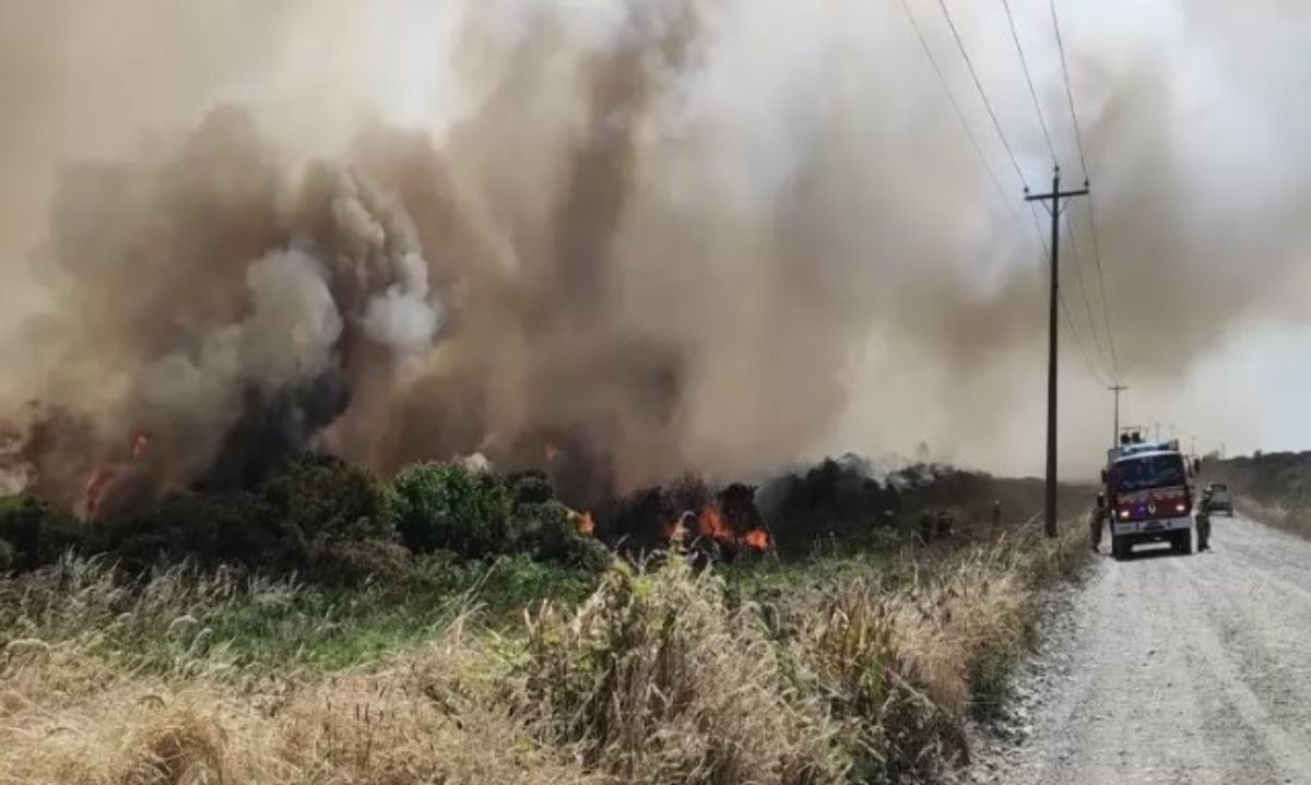 Incendio forestal en Chin Chin Viejo: “Estamos trabajando arduamente, en conjunto con bomberos para su completa extinción”