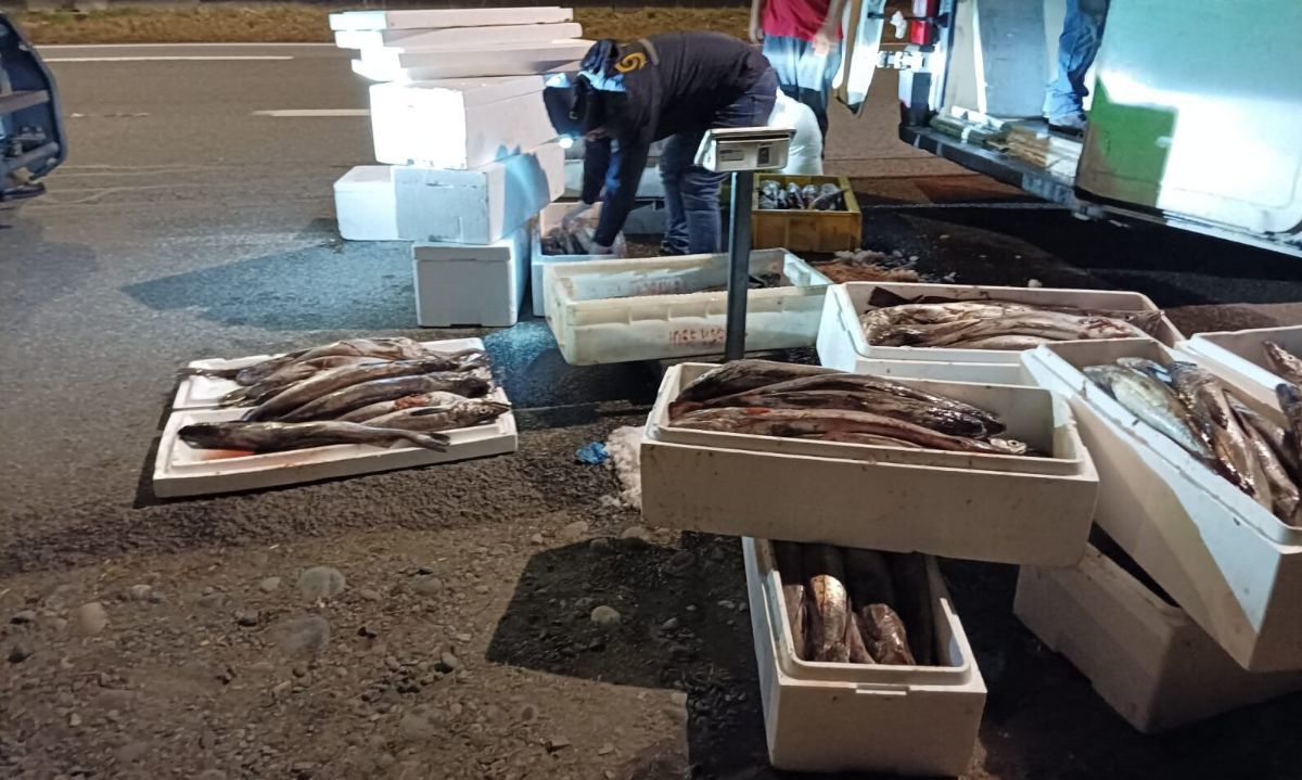 En Calbuco sorprenden transporte ilegal de más de 2,5 toneladas de merluza austral