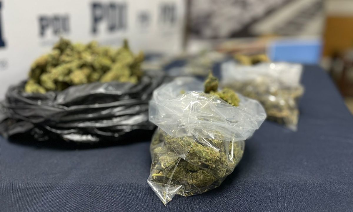 PDI detiene a hombre de 22 años por tráfico de drogas en Castro