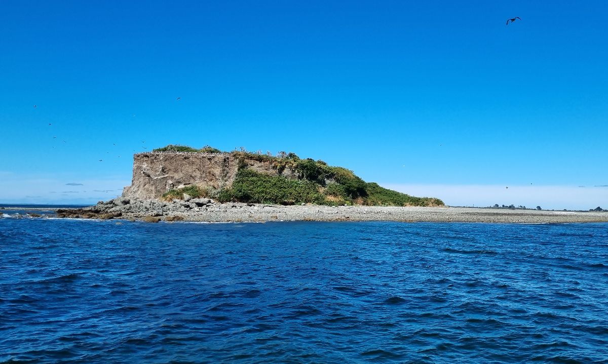 Municipio de Calbuco conoció estado de avance del Proyecto FPA UACh para Isla Kaikué-Lagartija