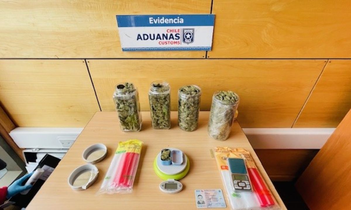 Aduana de Punta Arenas  descubre a pasajero de Puerto Montt con 2,3  kilos de marihuana en Aeródromo de  Puerto Natales