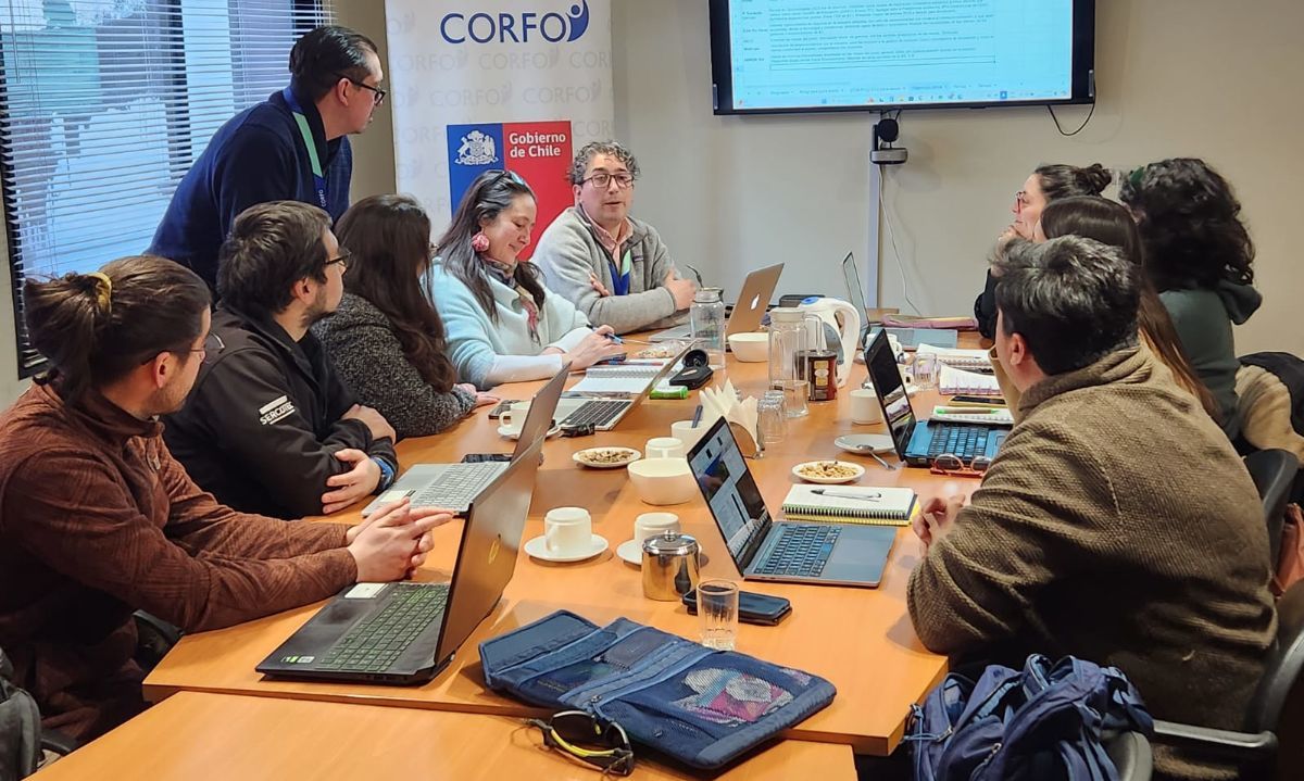 Actores claves se reúnen para preparar la nueva versión del Seminario "Conexión Circular Los Lagos"
