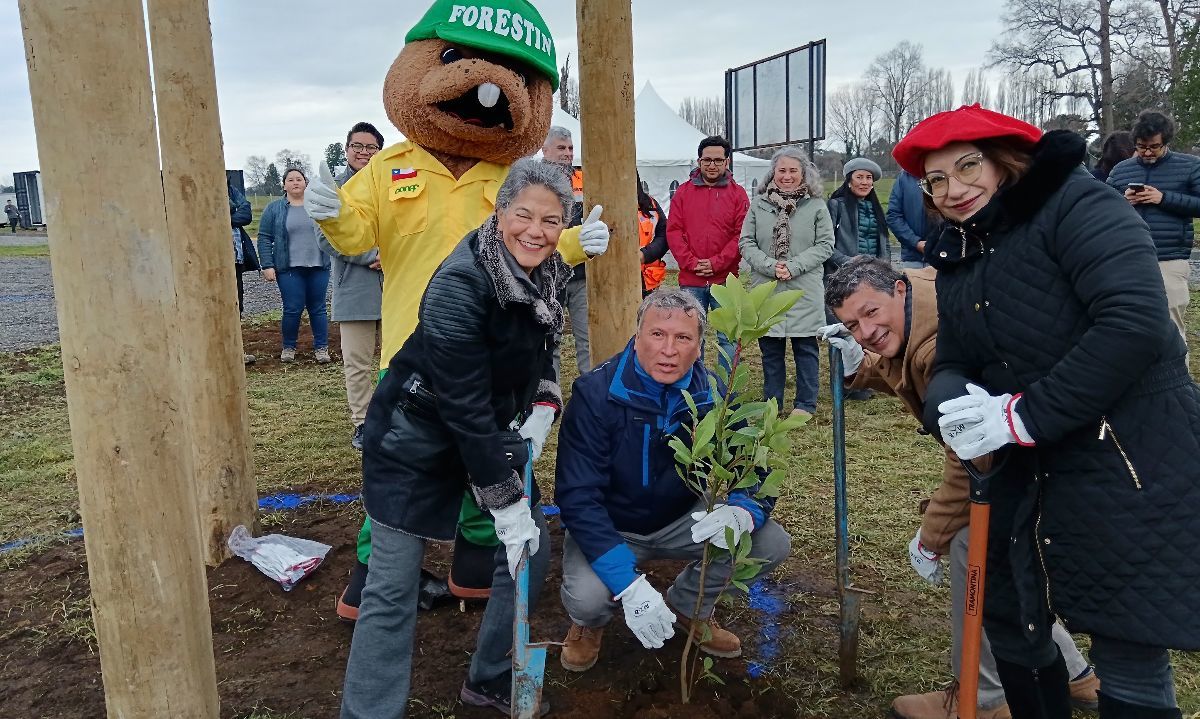 La Región de Los Lagos contará con el primer vivero regional de especies nativas para la reforestación de bosques 