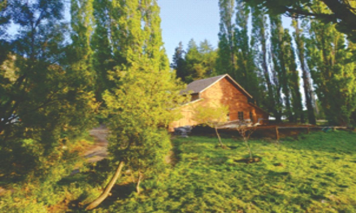 La verdadera historia de Hernán Carrasco Guarda, Rancho Grande (Continuación)