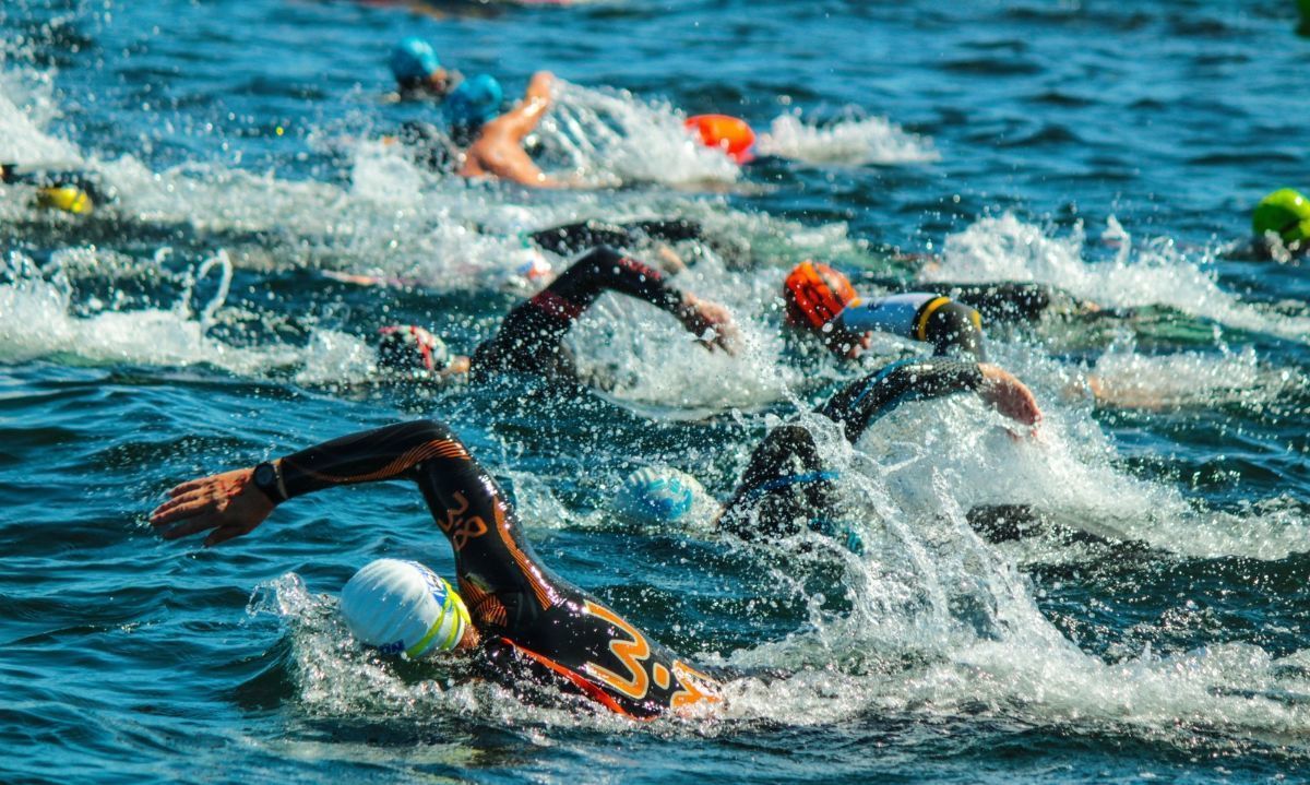 Travesía de Natación Isla Chaullin convoca a deportistas en Calbuco