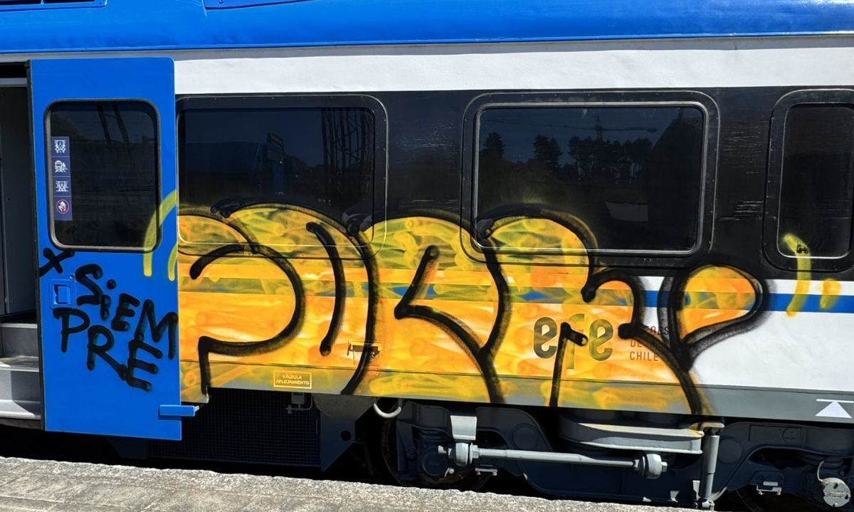 Con grafitis vandalizan tren que conectará  Llanquihue con Puerto Montt