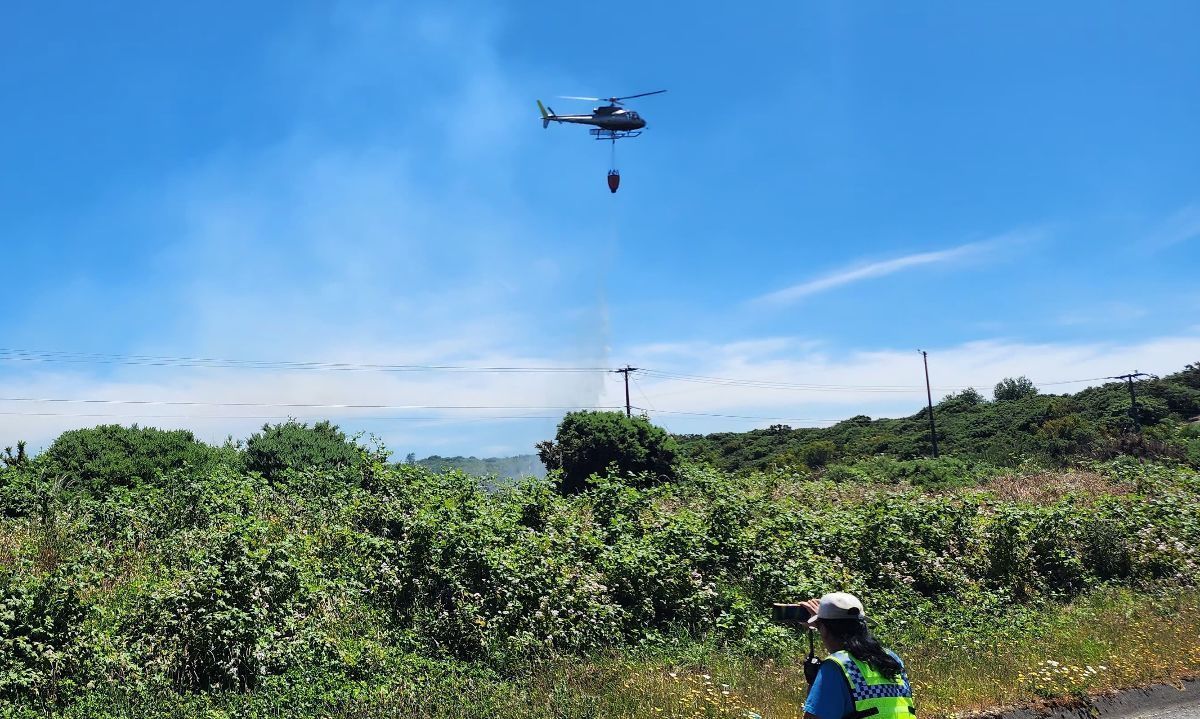 Lograron controlar un incendio forestal cerca de la carretera 5 sur