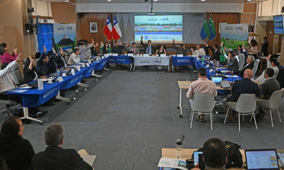 CORE Los Lagos aprueba la creación de la primera Comisión de Seguridad de la región