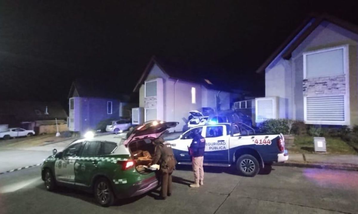 Patrullajes mixtos en Puerto Varas aumentan un 800% en un año