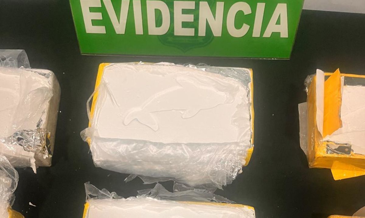 Fiscalía desarticula organización de tráfico de drogas y decomisa cocaína de alta pureza en Los Lagos