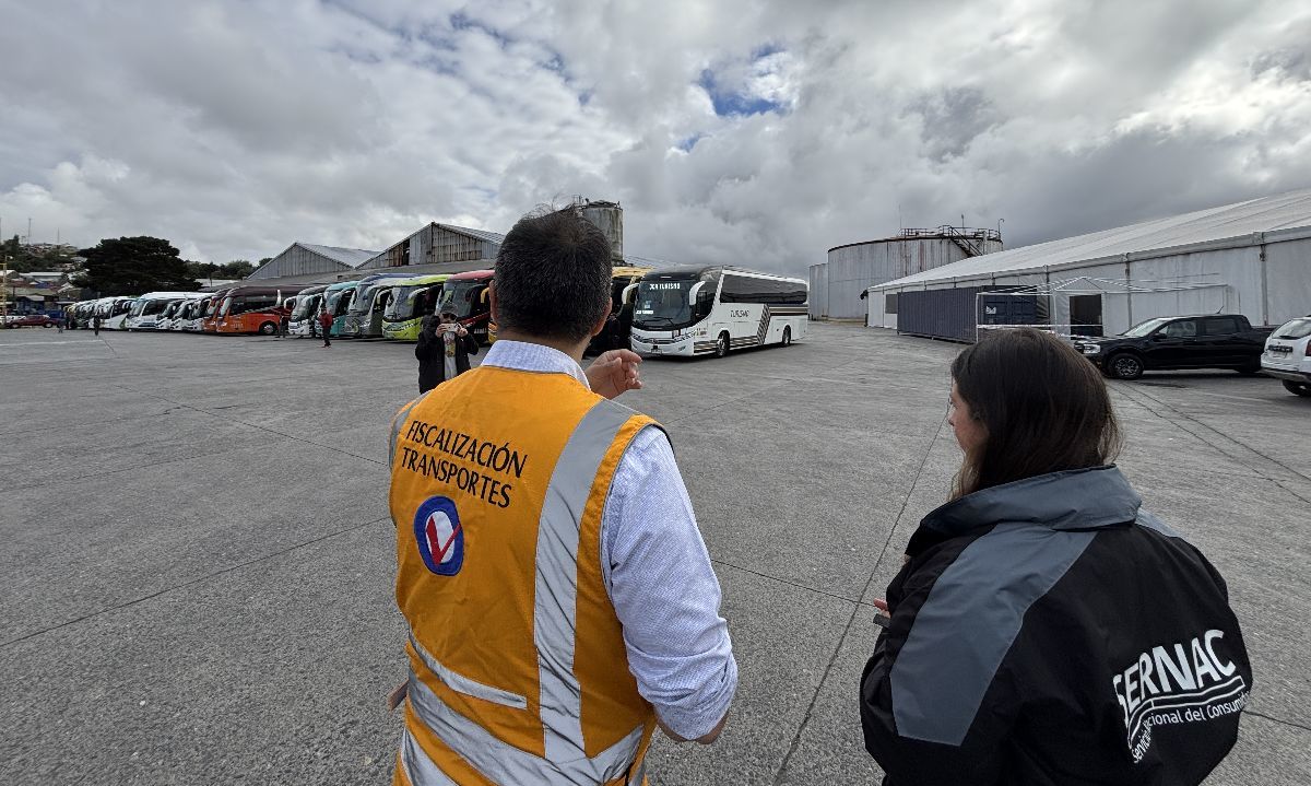 SERNAC y Transportes fiscalizan servicios turísticos en el puerto de Puerto Montt
