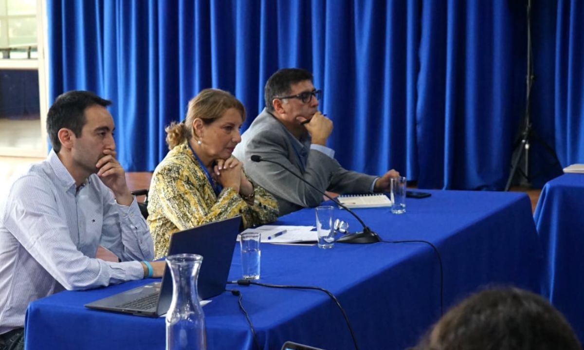 Mesa de Estrategia del Cáncer reúne a actores clave para enfrentar déficit médico en Los Lagos