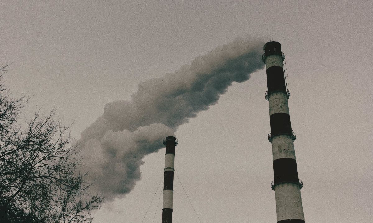 Día Mundial contra el Calentamiento Terrestre: Las decisiones alimentarias son clave