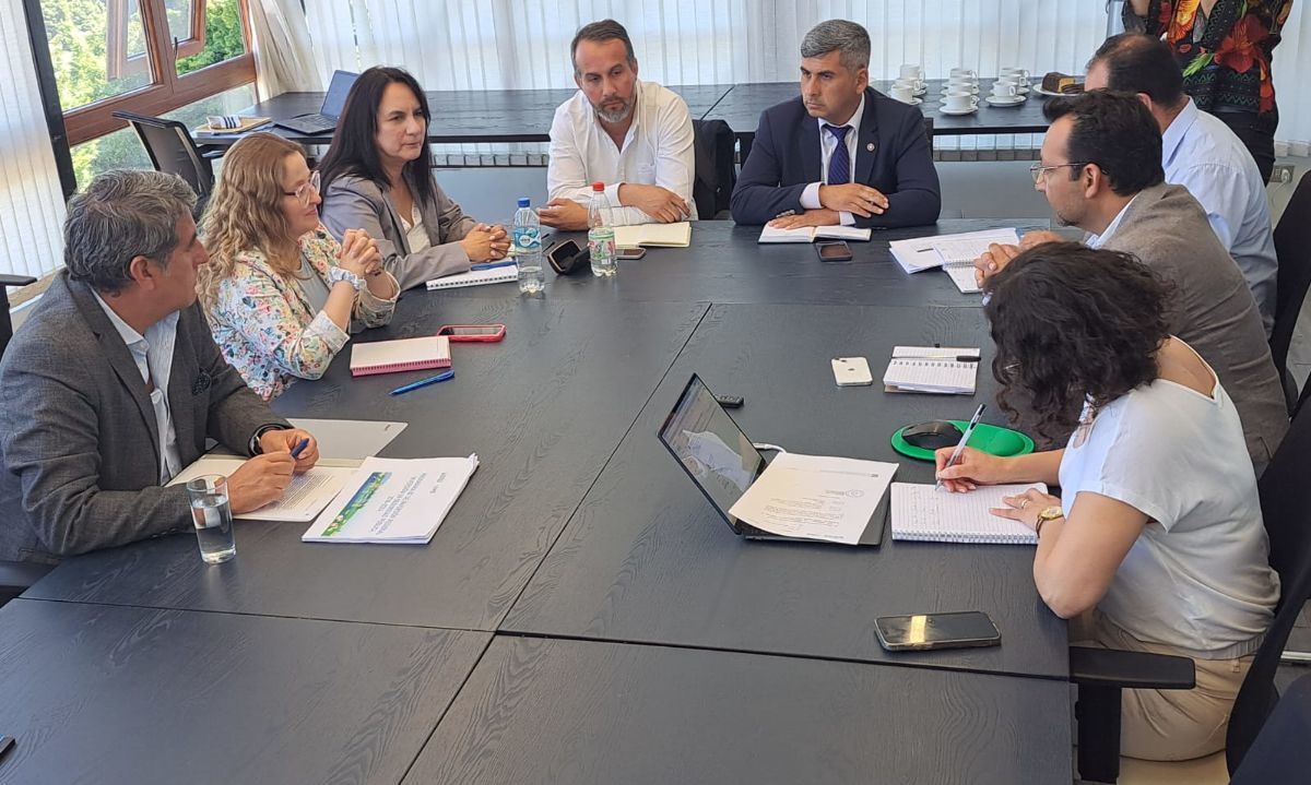 Consejo Regional de Los Lagos inicia trabajo de la Comisión Transitoria de Seguridad
