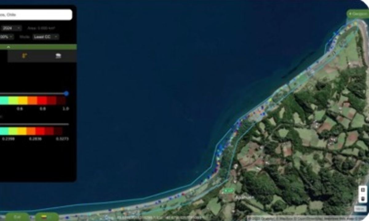Monitoreo satelital detecta acumulación de residuos en la costa de Chiloé y Aysén