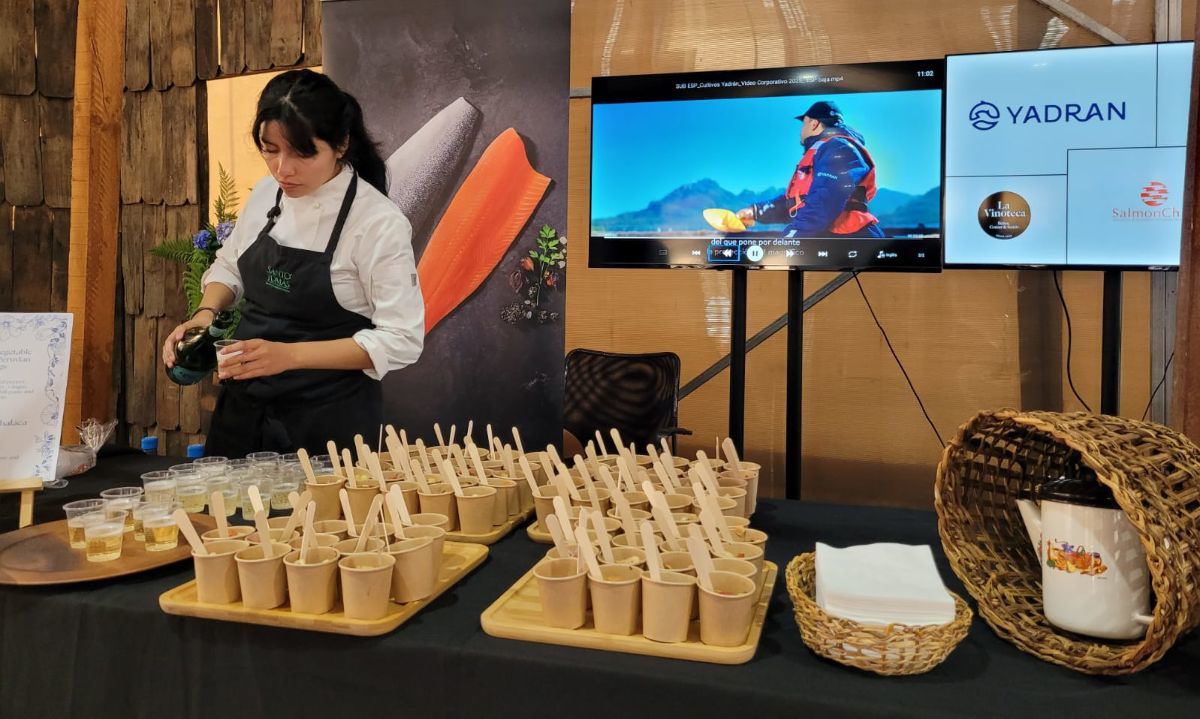 Del mar al plato: turistas de cruceros son recibidos en Puerto Montt con degustación de salmón