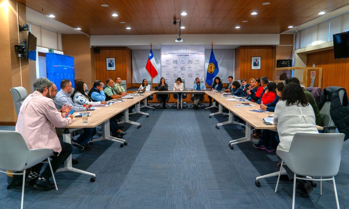Gobierno y Servicio de Salud del Reloncaví refuerzan seguridad en hospitales