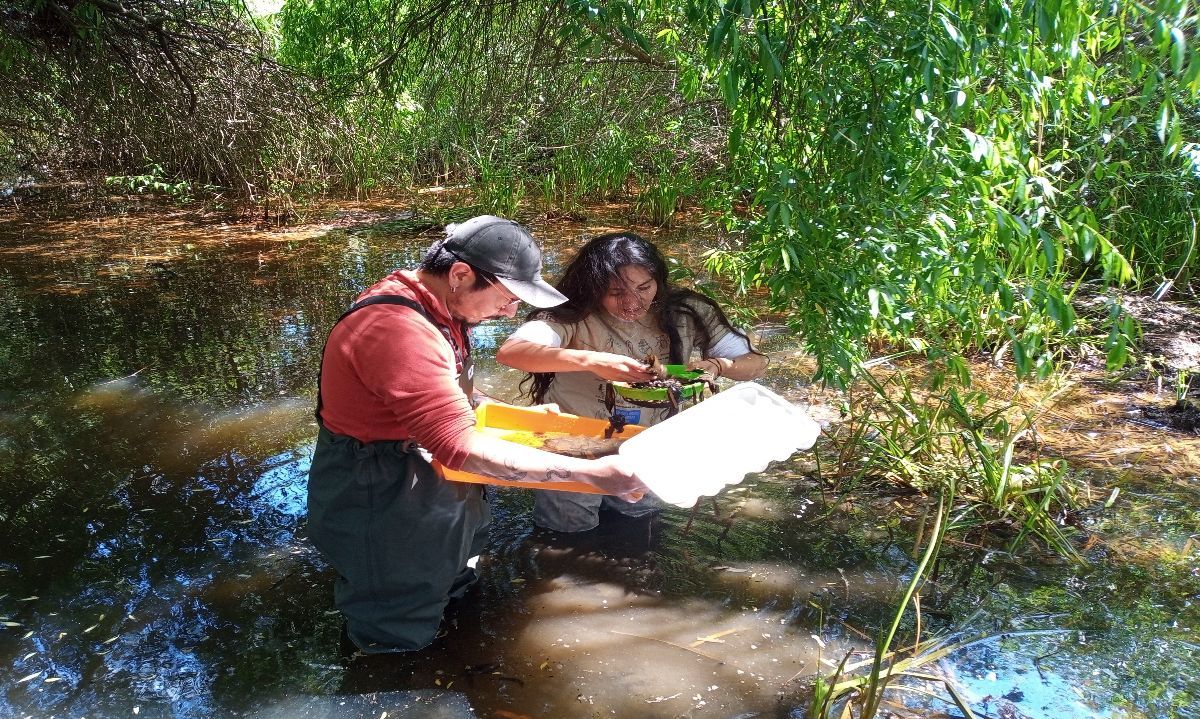 Investigadores aplican tecnología para el monitoreo y conservación de humedales