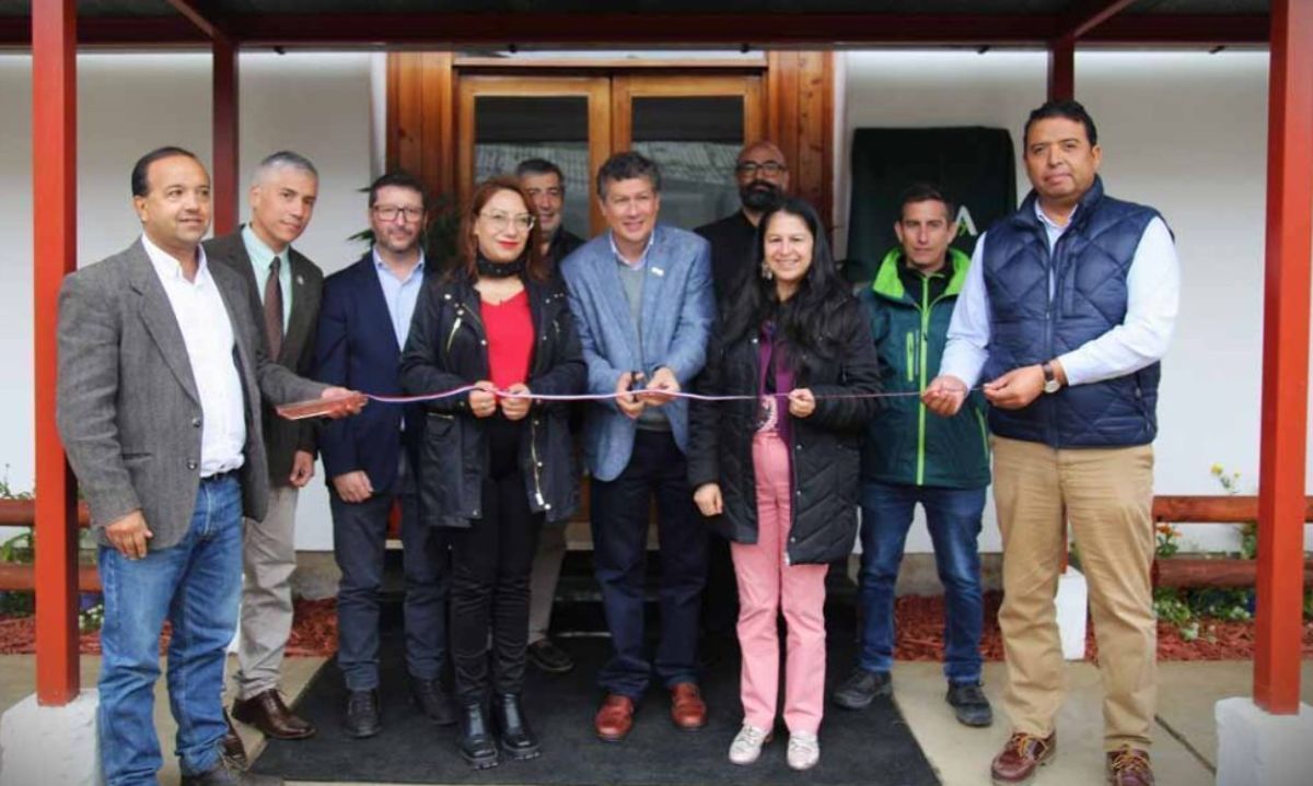 En la Región de Los Lagos inauguran nuevo laboratorio InsectaLab