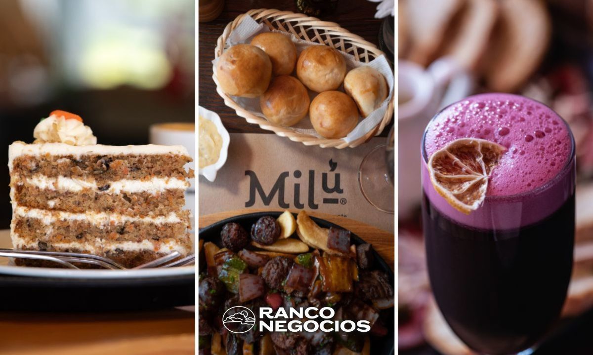 Descubre los sabores auténticos del sur de Chile en el Restaurante y Cafetería Milú