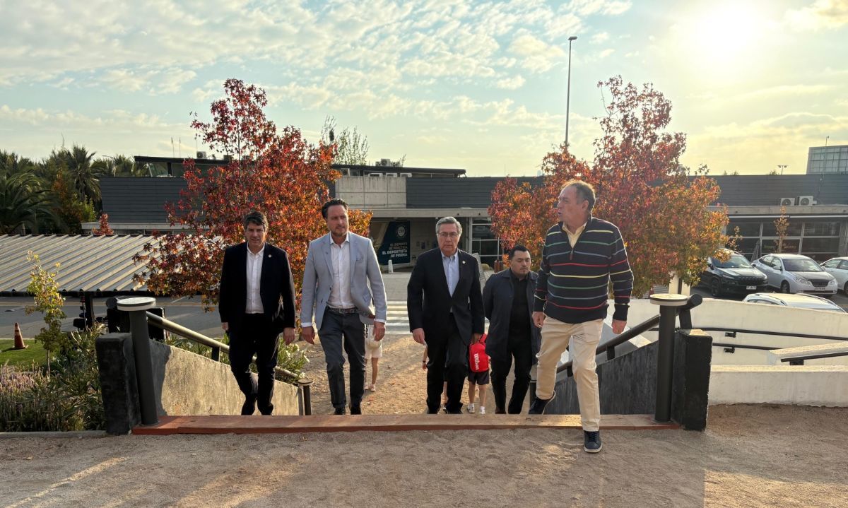 Puerto Montt busca replicar modelo deportivo de la Universidad San Sebastián