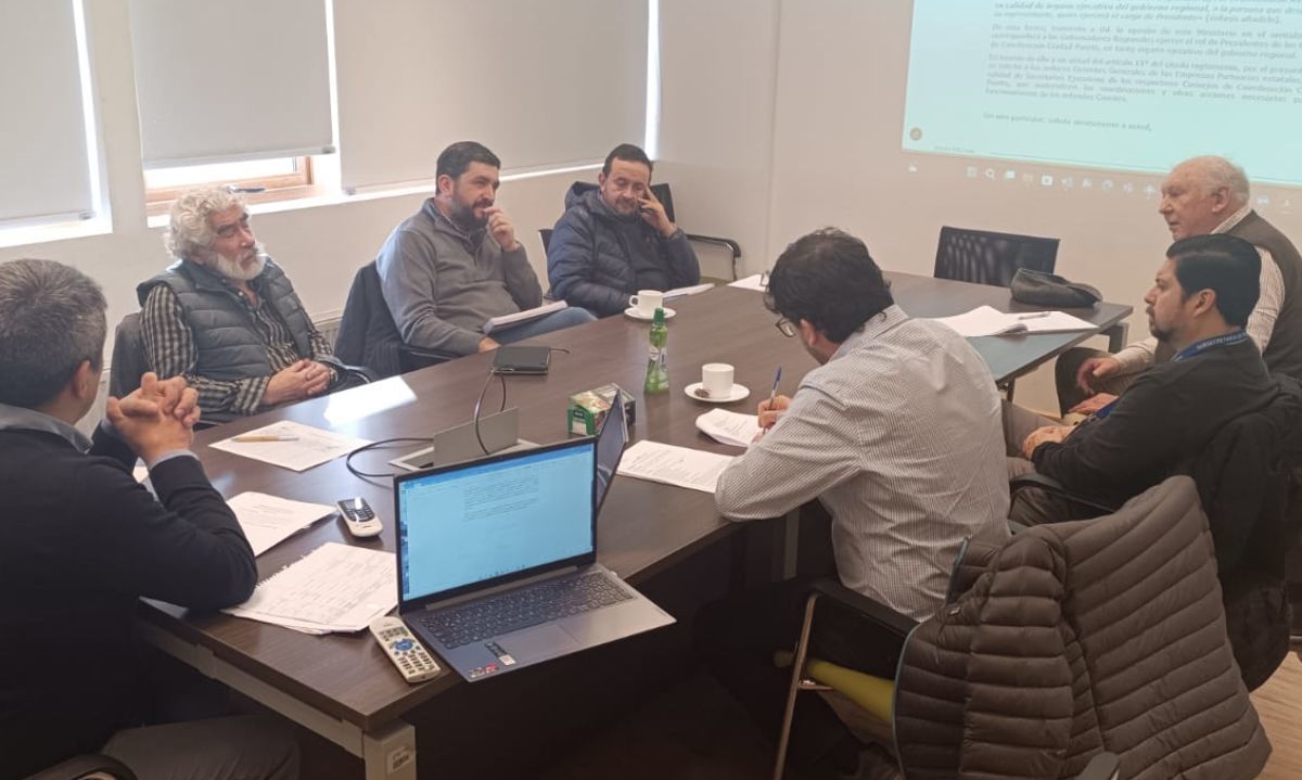 Comité técnico asesor ciudad puerto en sesión el pasado 15 de mayo. Crédito: Cedida