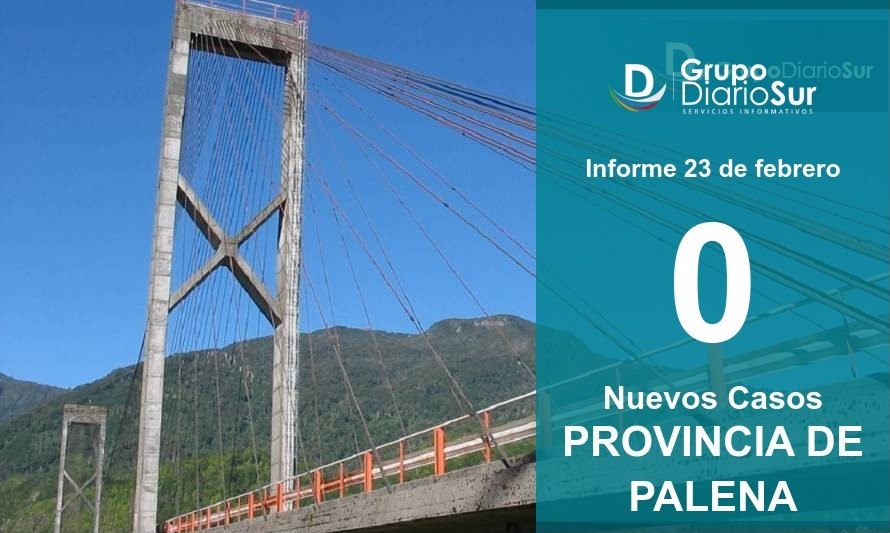 Provincia de Palena no reporta casos positivos de covid-19 en este día