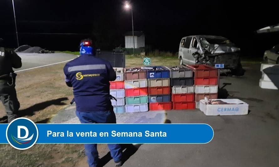 Sernapesca detectó furgón con más de una tonelada de productos ilegales