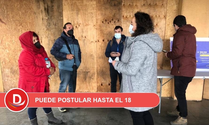 IFE podría llegar a 306 mil hogares en la región de Los Lagos