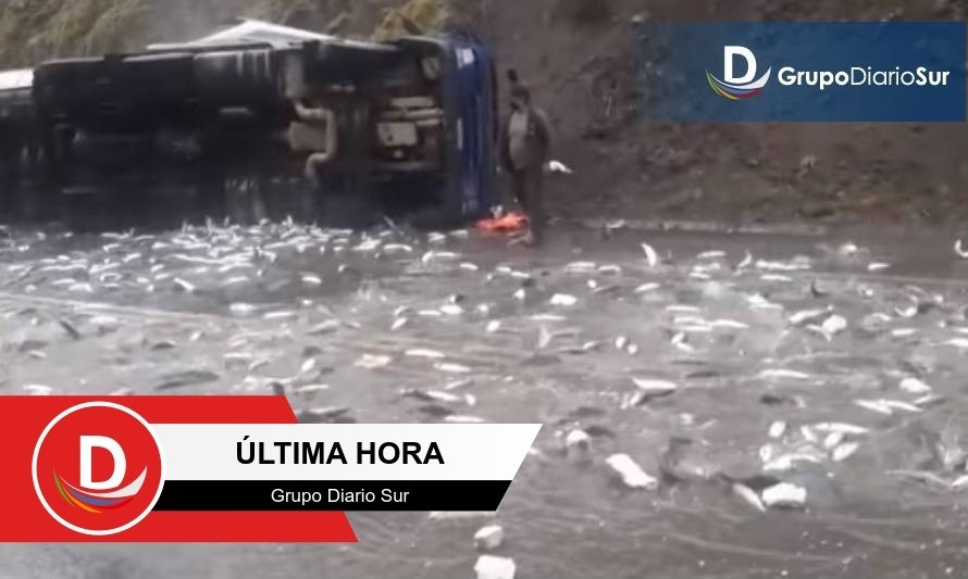 Reportan tránsito parcial por volcamiento de camión con salmones 