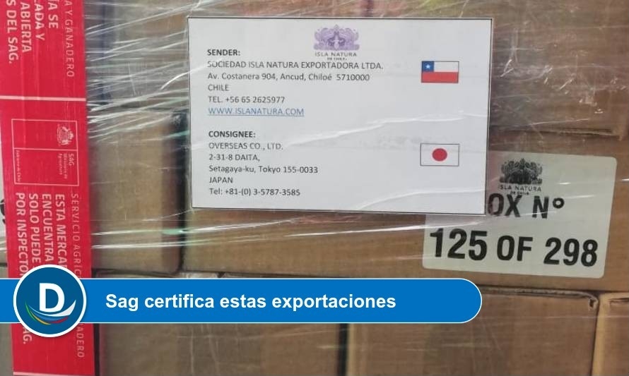 Continúan los envíos a Japón de miel premium batida de Chiloé
