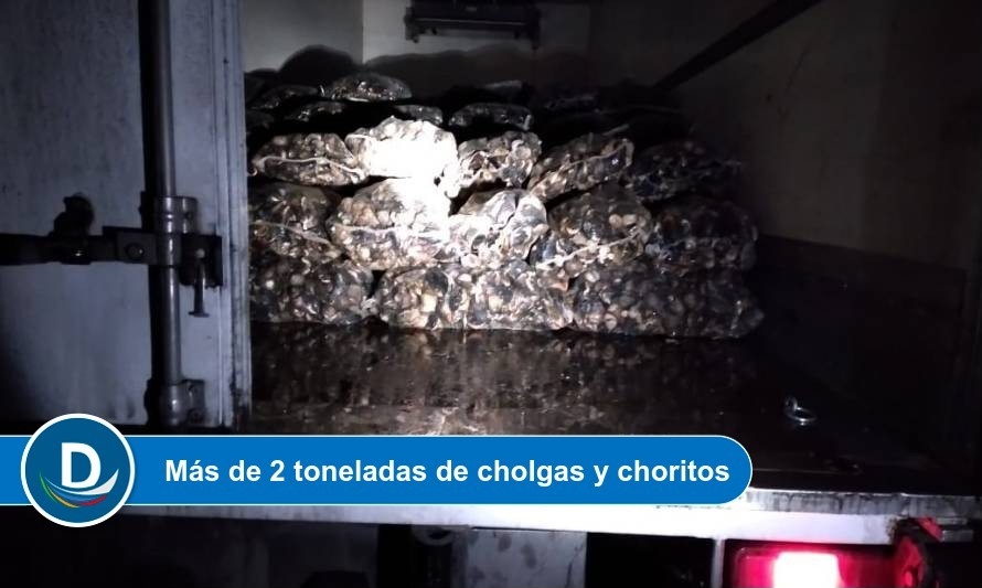 Análisis de información permitió detectar transporte ilegal de mariscos