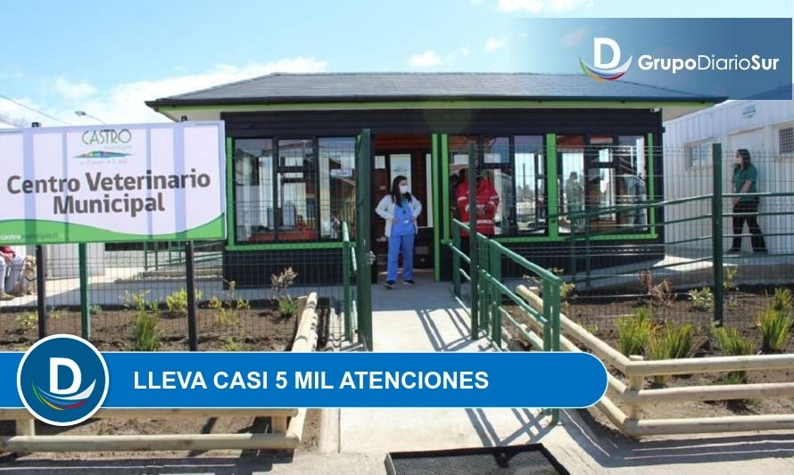 Centro Veterinario Municipal de Castro cumple su primer año de funcionamiento