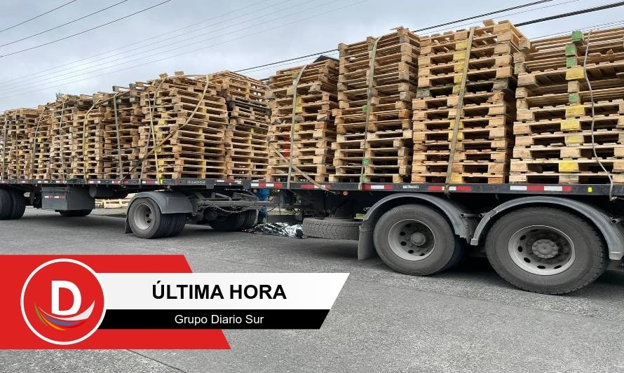 Camionero murió tras caer de una carga de Pallet en Puerto Montt