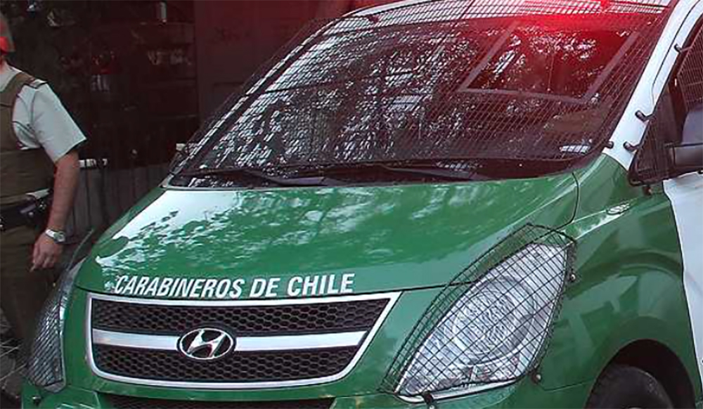 Un hombre murió aplastado por un árbol en Ancud