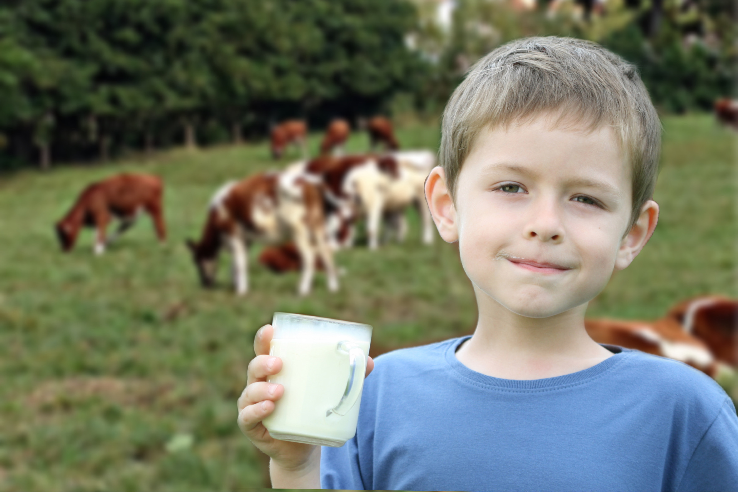 Día Mundial de la Leche Escolar:  Investigadoras valoran los programas de alimentación y rol de los lácteos