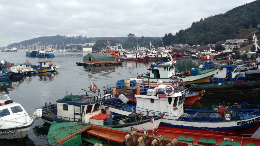 Pescador artesanal murió en canal Tenglo tras caer desde pontón flotante