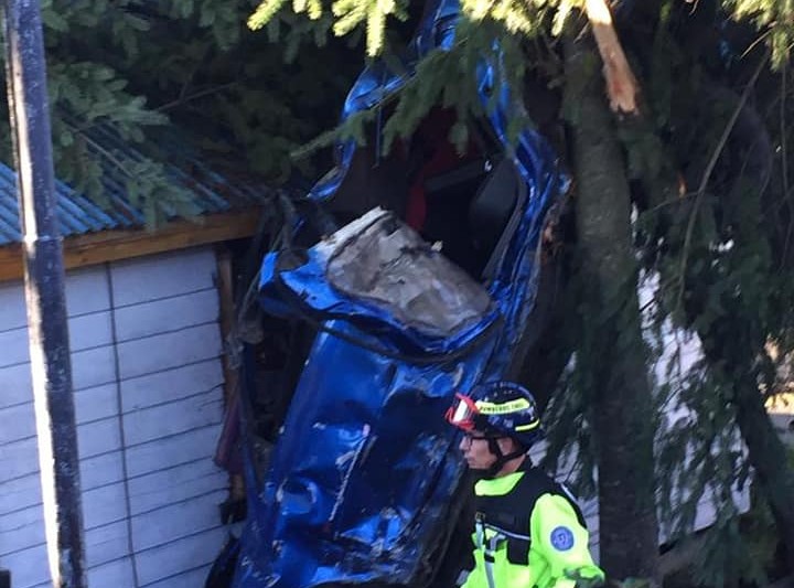 Conductor fallece tras chocar con árbol en Calbuco